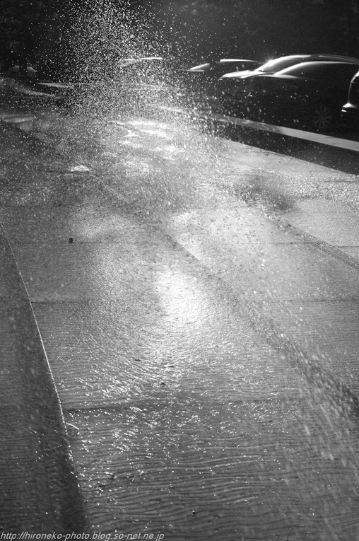 L1000836.jpg