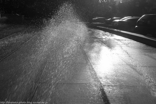 L1000847.jpg