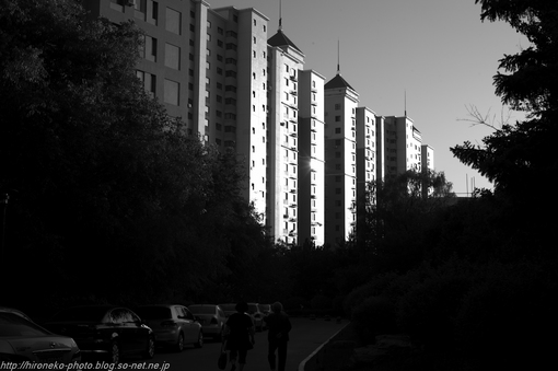 L1000903.jpg