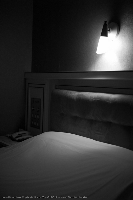 L1001161.jpg