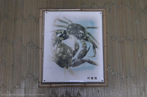 L1001650.jpg