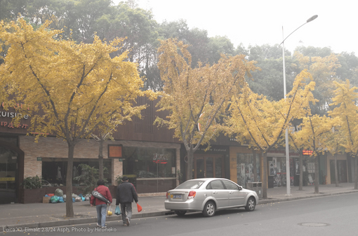 L1002229.jpg