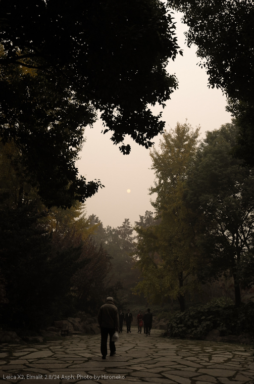 L1002232.jpg