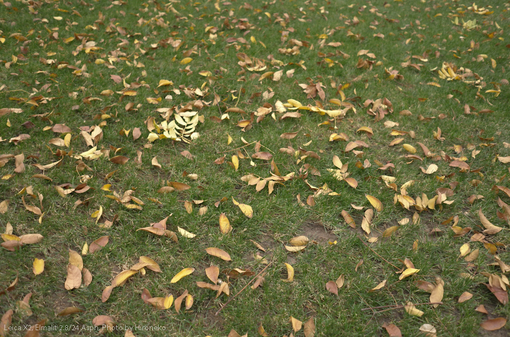 L1002233.jpg