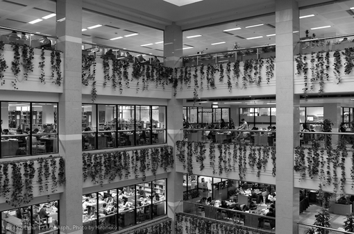 L1002443.jpg