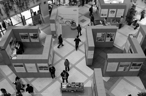 L1002444.jpg