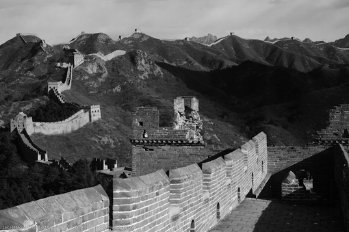 L1002606.jpg