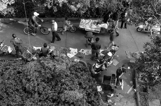 L1002976.jpg