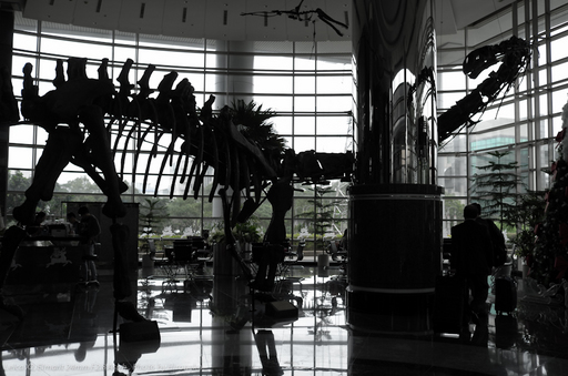 L1004375.jpg