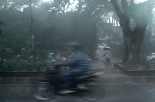 L1004478.jpg