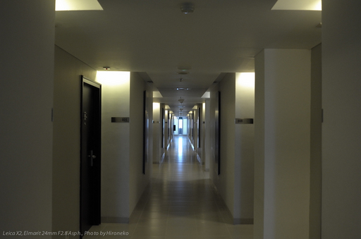 L1004547.jpg