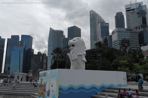 L1004581.jpg