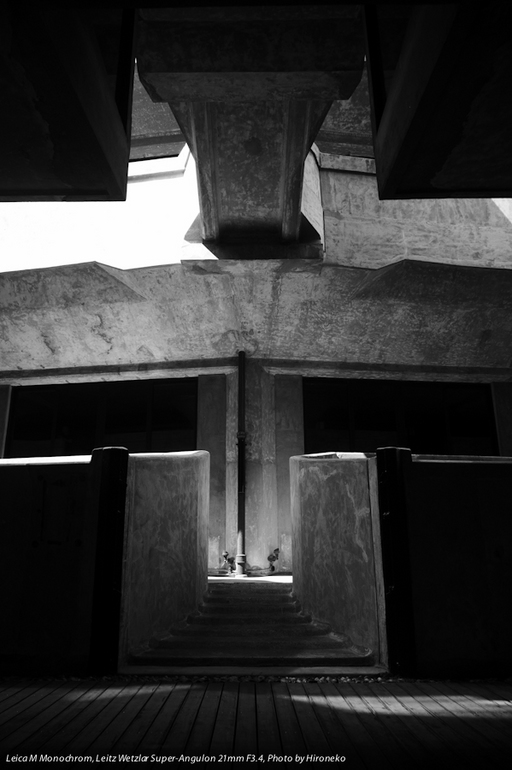 L1004686.jpg