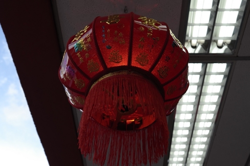 L1004838.JPG