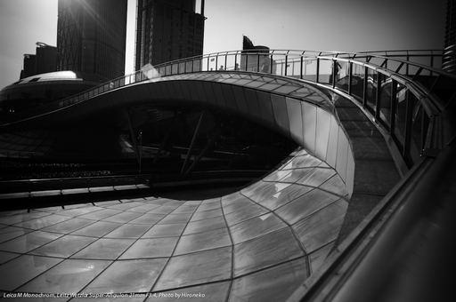 L1004859.jpg