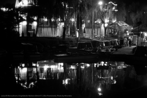 L1005074.jpg