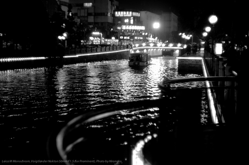 L1005082.jpg