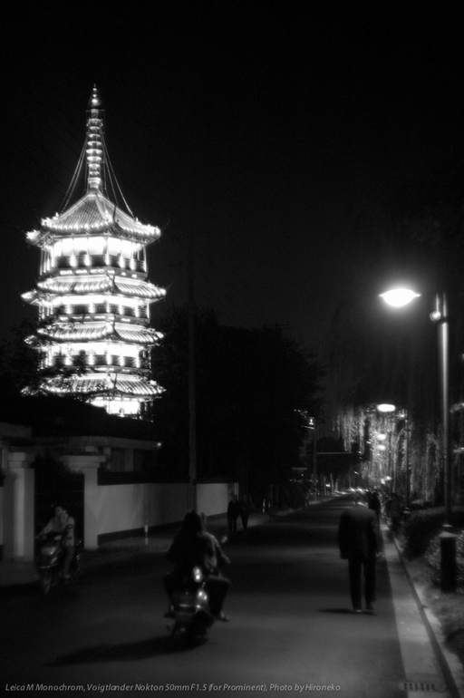 L1005122.jpg