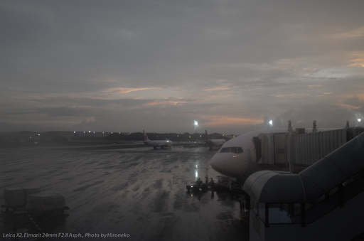 L1005196.jpg