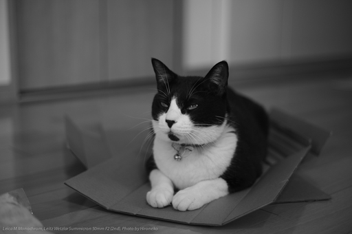 L1005685.jpg
