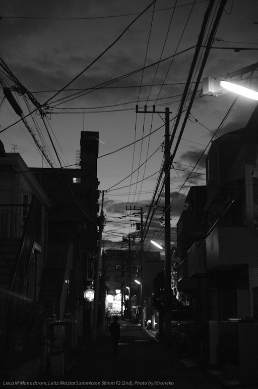 L1005775.jpg