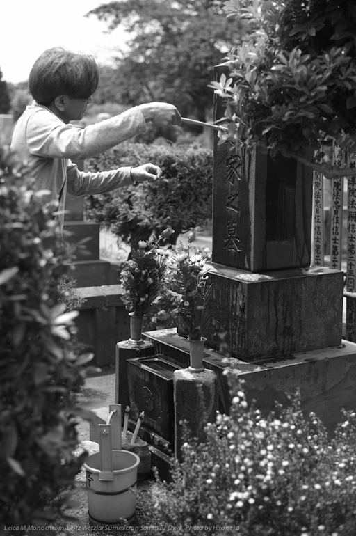 L1005782.jpg