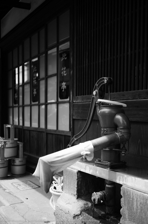 L1005789.jpg