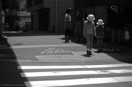L1005791.jpg