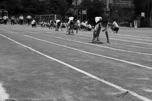 L1005853.jpg