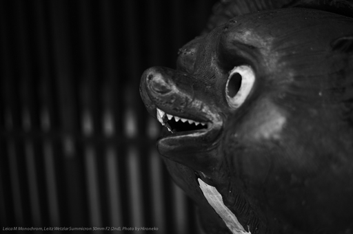 L1005989.jpg