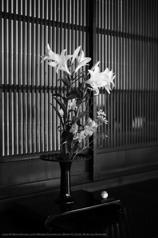 L1006051.jpg