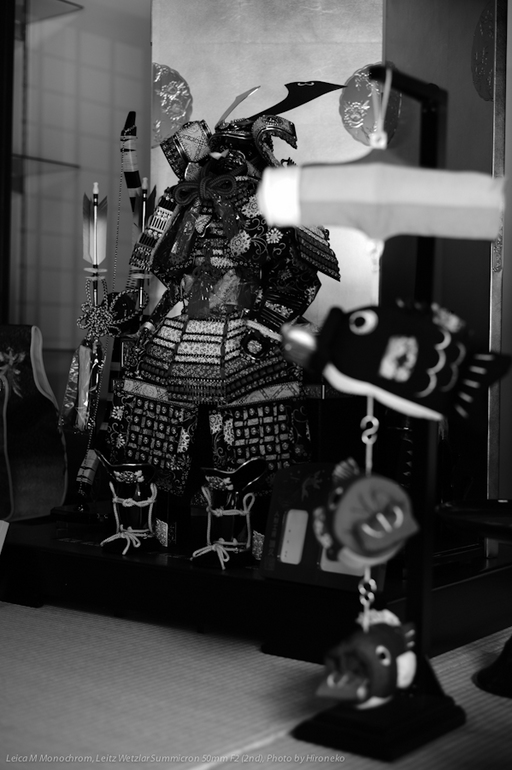 L1006053.jpg