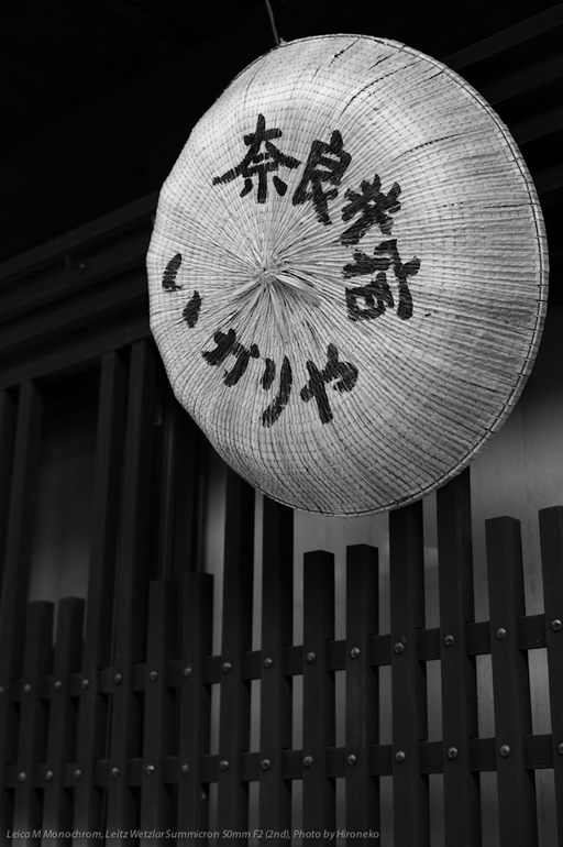 L1006058.jpg