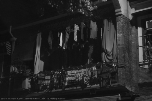 L1006746.jpg