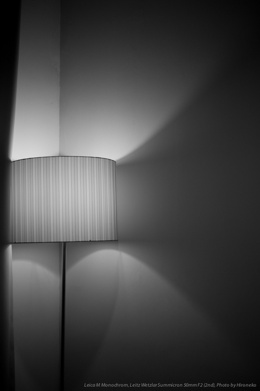 L1006820.jpg