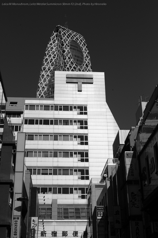 L1006947.jpg