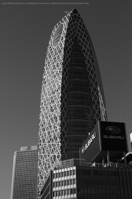 L1006948.jpg