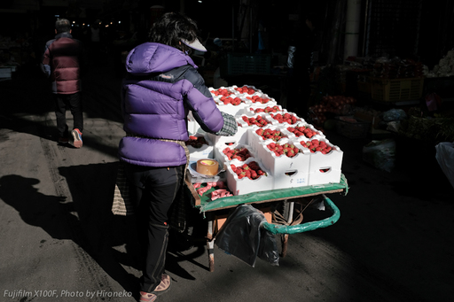 X10F0159.jpg
