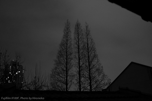X10F0251.jpg