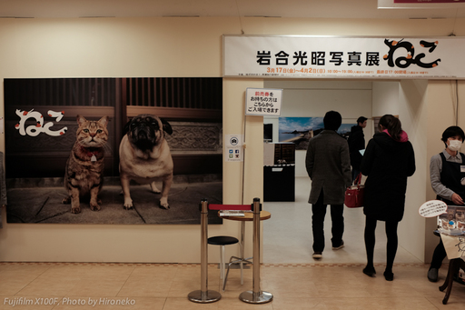 X10F0273.jpg