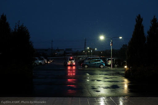 X10F0274.jpg