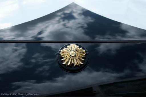 X10F0295.jpg
