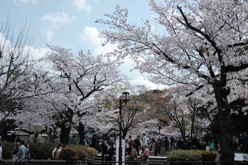 X10F0352.jpg