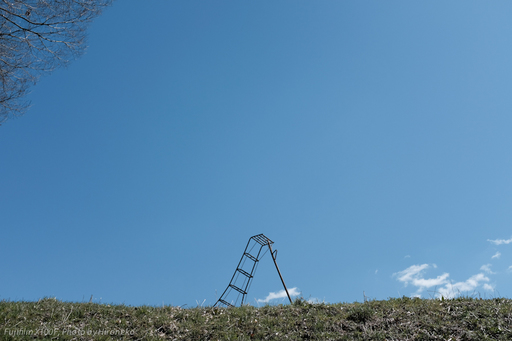 X10F0367.jpg