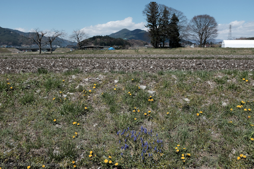 X10F0372.jpg