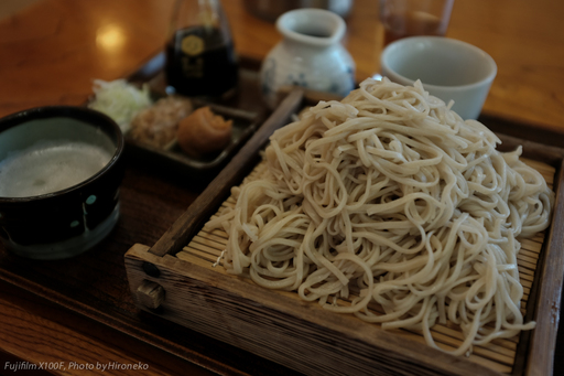 X10F0858.jpg