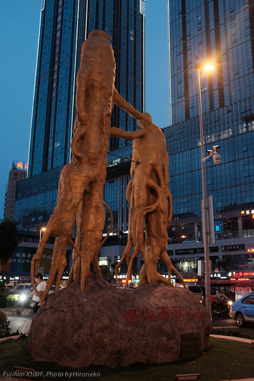X10F0966.jpg
