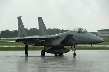 雨に煙るF-15.jpg