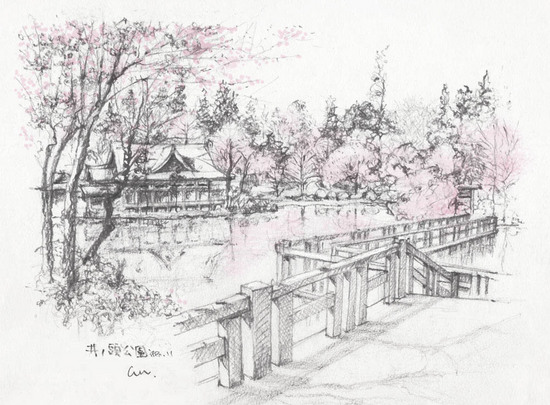 スケッチ_井之頭公園桜.jpg