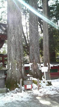 P1000200.jpg